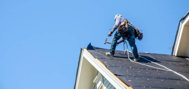 Best Roof Maintenance Services  in Mountain Iron, MN